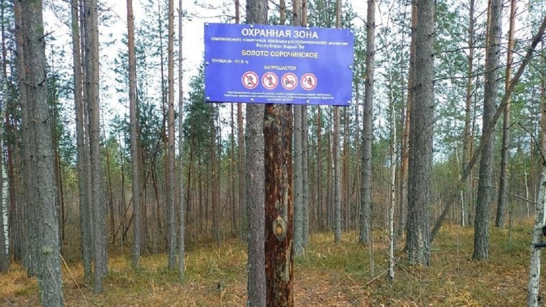 В Марий Эл обозначили памятники природы