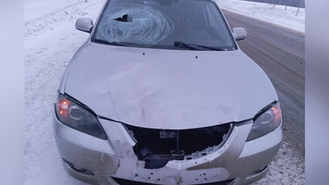 В Горномарийском районе в результате ДТП погибла пешеход