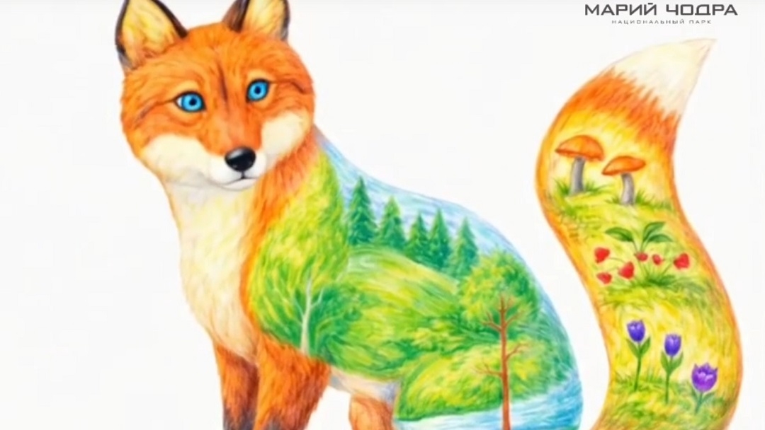 Детсадовец Федор Тюлькин из Йошкар-Олы стал автором символа национального парка «Марий Чодра»