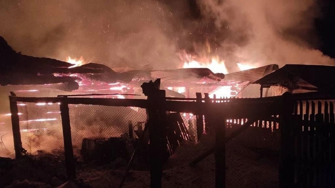 Отстояли дом, но погиб домашний скот: подробности пожара в Мари-Туреке