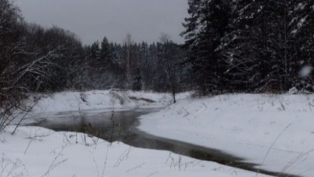 В Марий Эл иссякает река Илеть