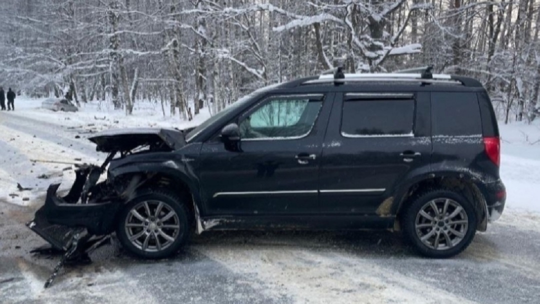 Более 800 ДТП и 81 погибший за год: в Госавтоинспекции Марий Эл озвучили статистику дорожных происшествий