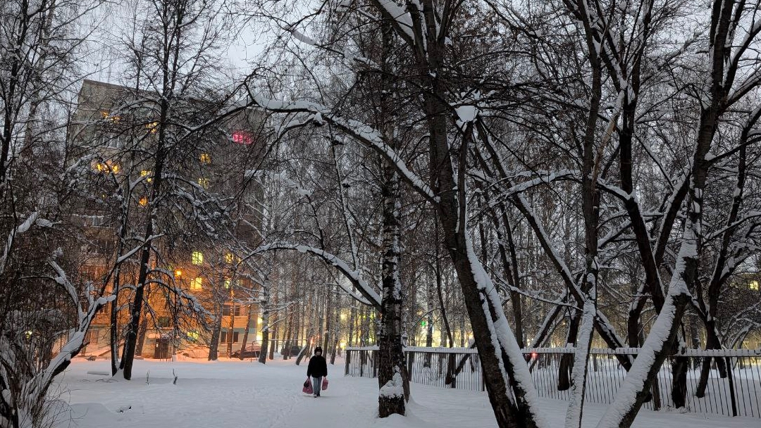 Сильный снег и метель ожидаются в Марий Эл 27 января