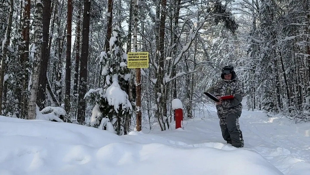 Обильные снегопады в Марий Эл осложнили работу учетчиков животных
