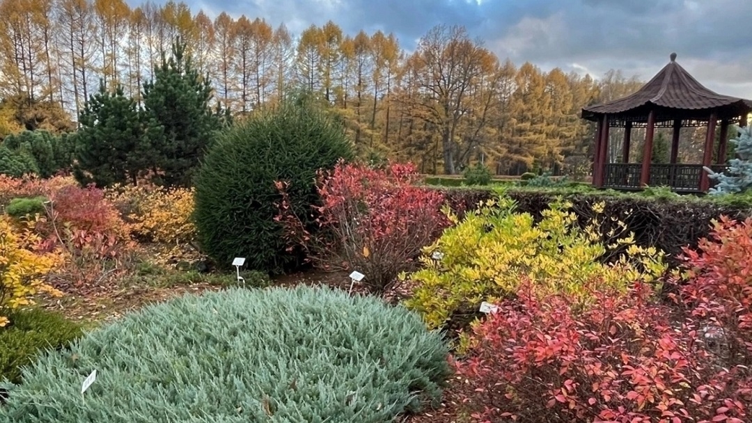 Ботанический сад-институт Йошкар-Олы пополнил реестр особо ценных природных объектов страны