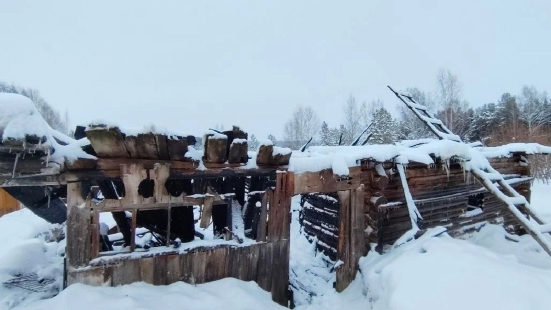 Пытался потушить пламя снегом: подробности пожара в Новоторъяльском округе Марий Эл