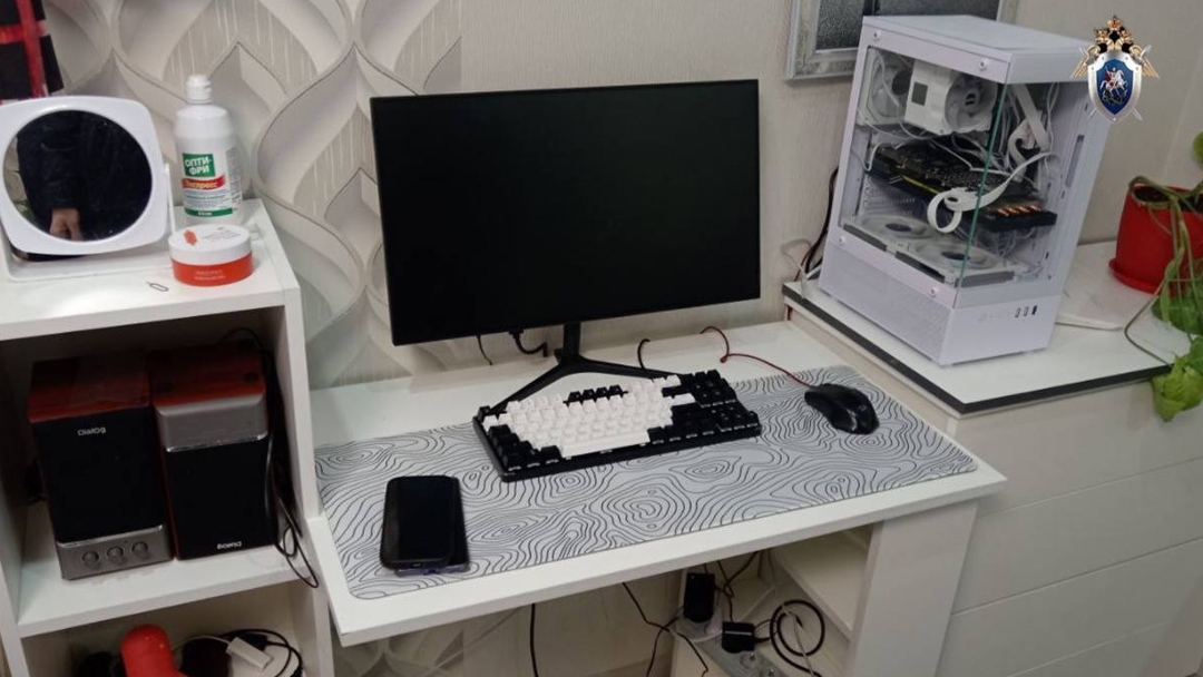 Подросток из Марий Эл взят под стражу за работу на зарубежных мошенников