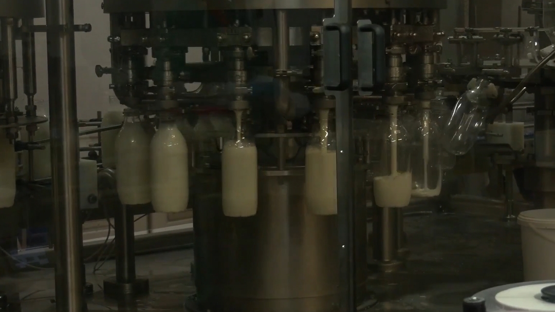 Марий Эл заняла второе место в ПФО по надою молока