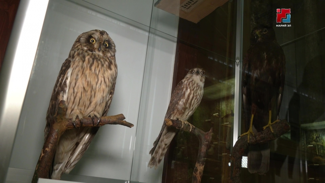 Т. Евсеев лӱмеш Калыкле тоштер лӱмгече идалыкыштыже книгам савыктен луктын