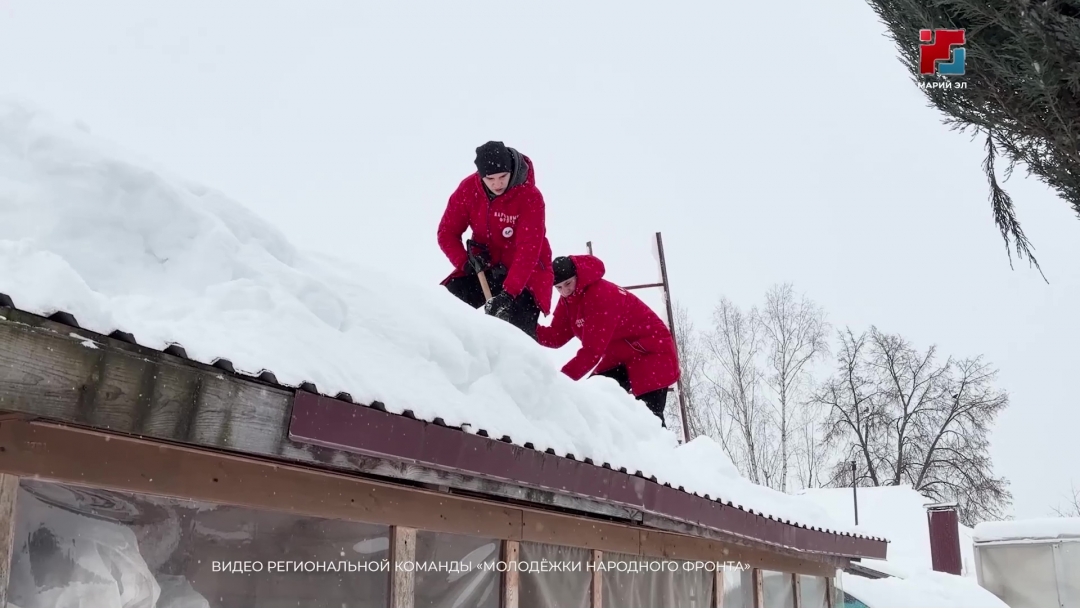 Активисты «Молодёжки Народного фронта» Марий Эл помогли убрать снег с участка пенсионерки