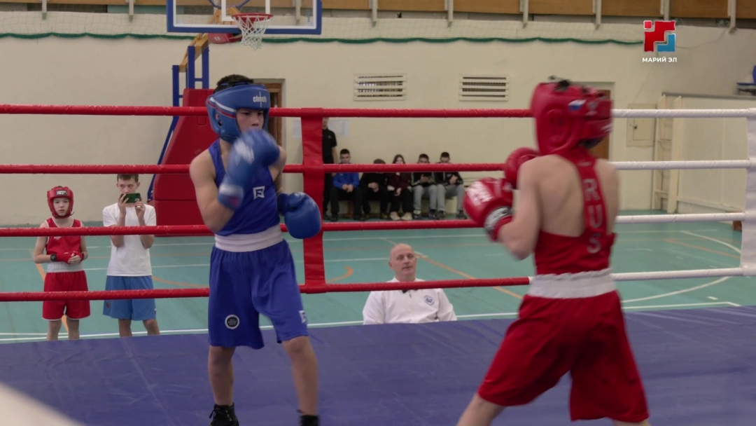 В столице республики прошли Чемпионат и Первенство Марий Эл по боксу
