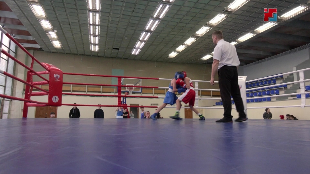 «Юбилейный» спорт ареныште бокс дене Марий Эл Республикын Чемпионатше да Первенствыже эртеныт