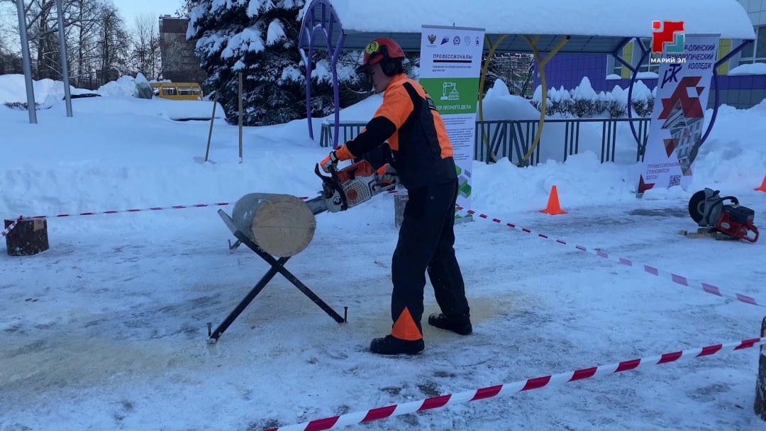 В Йошкар-Оле повели итоги регионального этапа чемпионата «Профессионалы»
