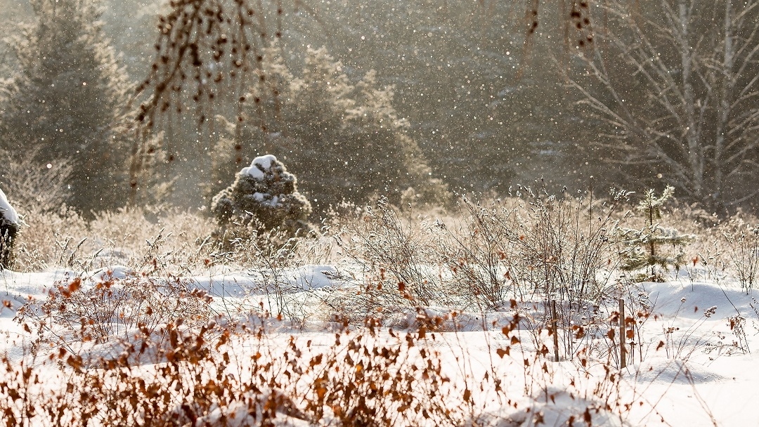 Что принесли обильные снегопады в Марий Эл