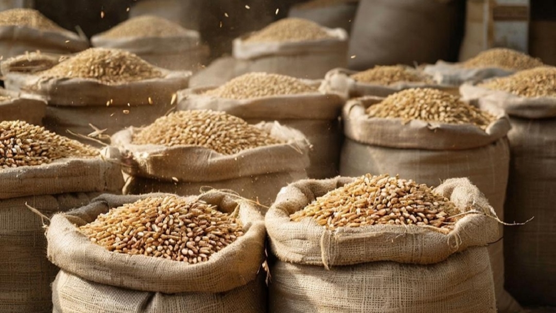 В Марий Эл возбудили уголовное дело в отношении ветеринара