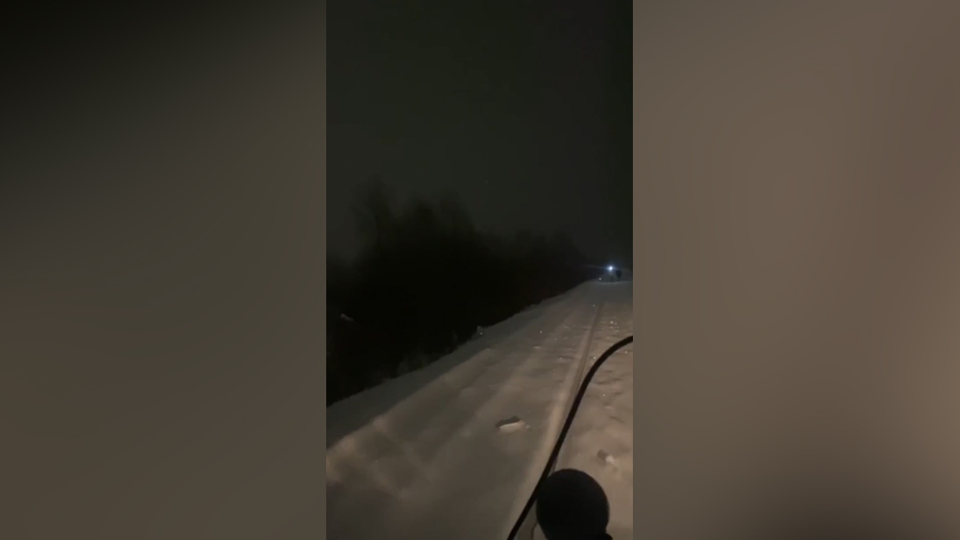 В Йошкар-Оле спасатели вывели из леса заблудившихся подростков