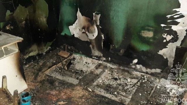 Мужчину вернули к жизни, кошку спасли: пожарные предотвратили трагедию в жилом доме в Йошкар-Оле