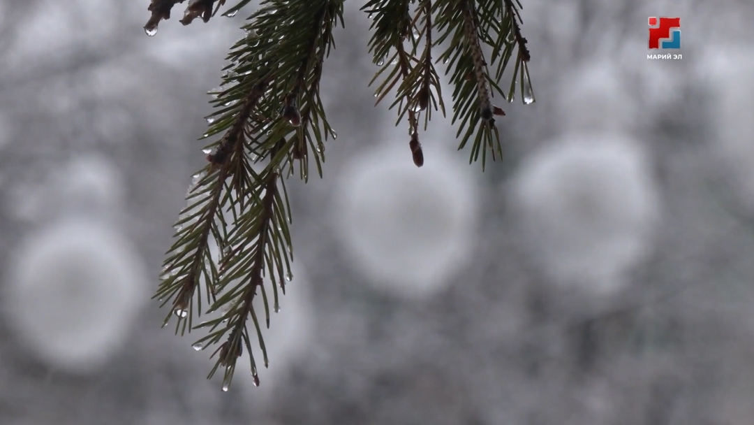 Оттепели не будет: синоптики рассказали, сколько еще продлятся снегопады в Марий Эл