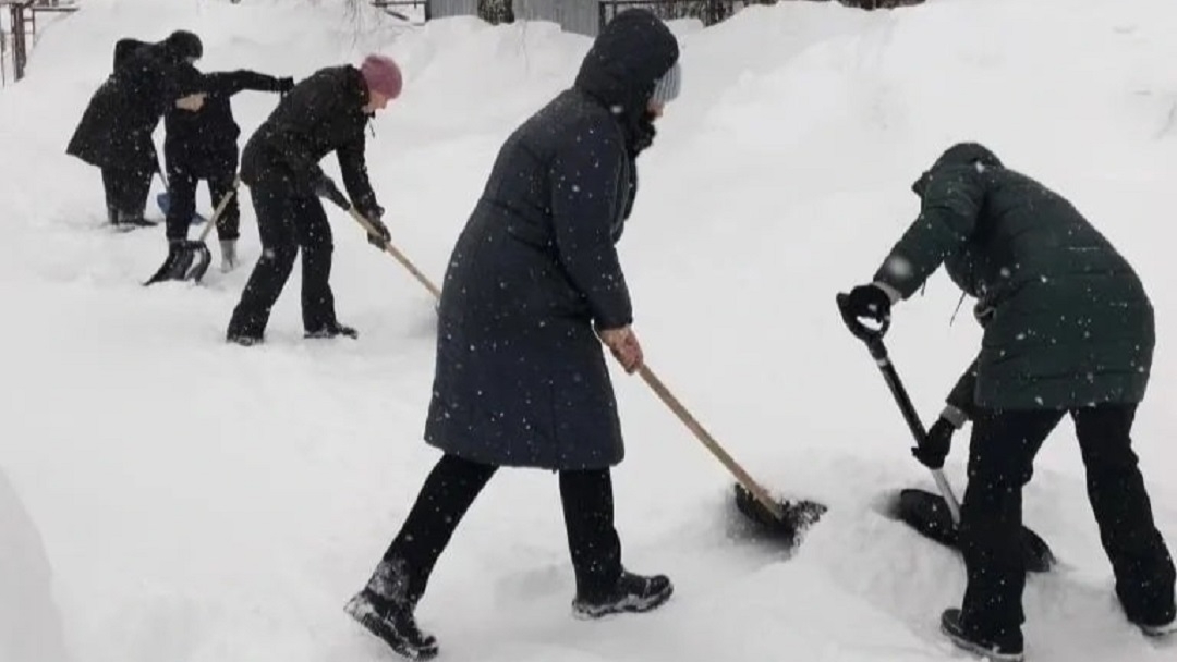 Акция «Снежник» в Йошкар-Оле набирает обороты