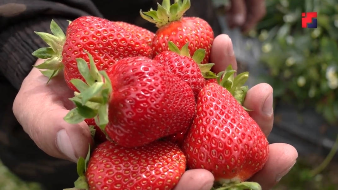 В Марий Эл появятся свои «заслуженные предприниматели»