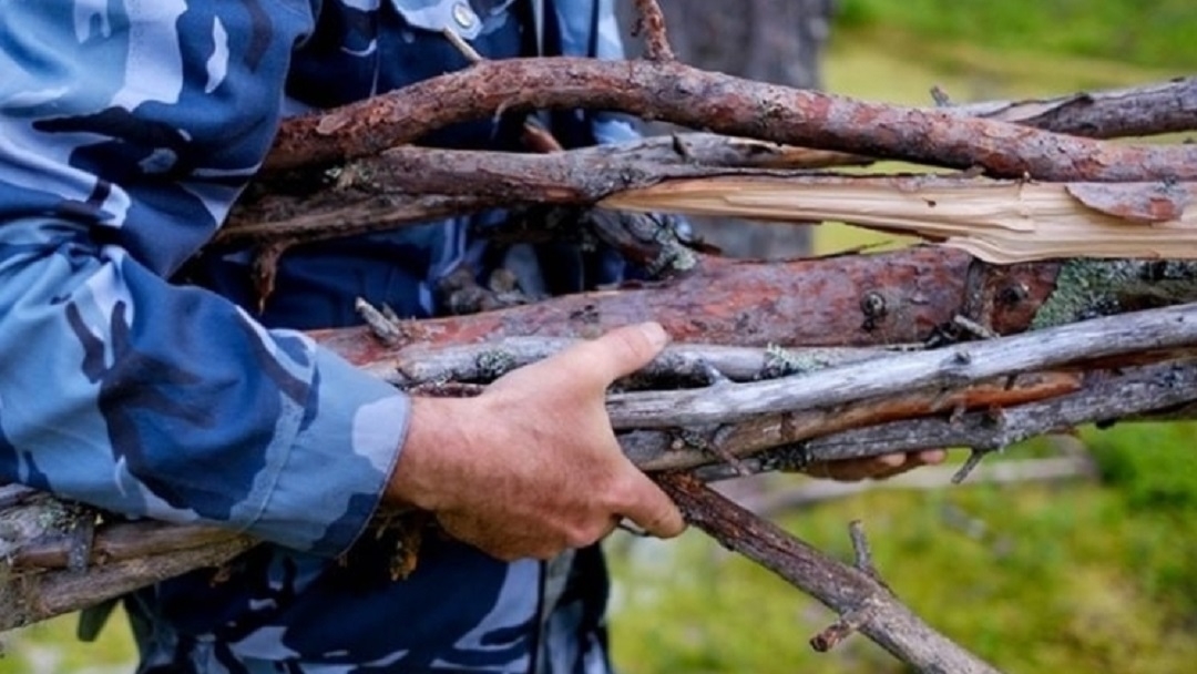 В Марий Эл жители могут беспрепятственно собирать валежник