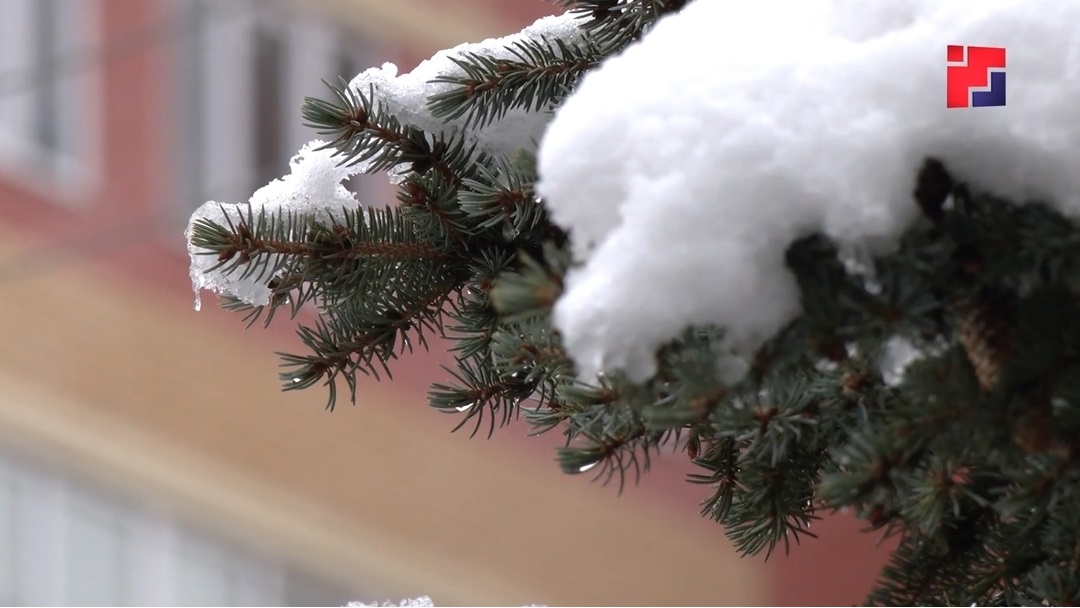 Скандинавский антициклон ударит морозами: прогноз погоды в Марий Эл на март