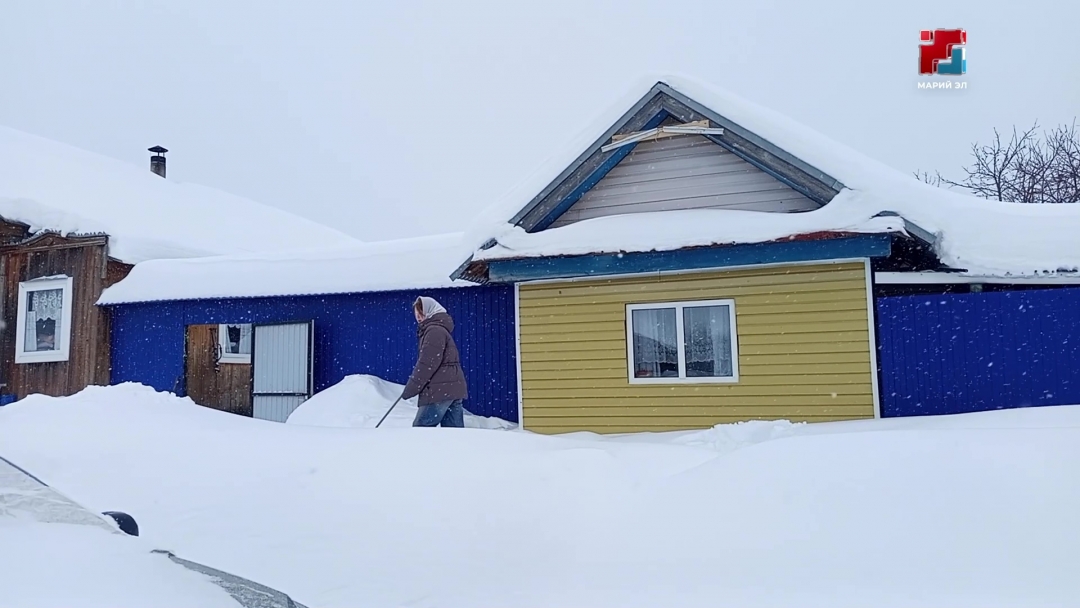 Марий Элыште вочшо лум тений рекордыш шуын