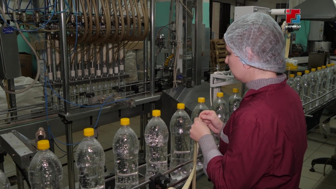 Почти 500 жителей Марий Эл смогут пройти бесплатное профобучение в рамках нацпроекта «Кадры»