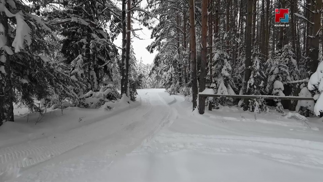 Тенийсе игече тазалык шотышто тӱткӧ лияш йодеш