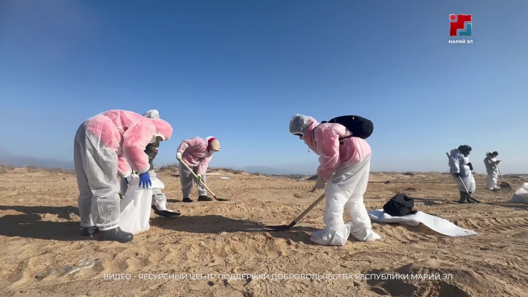 Глава Марий Эл наградил волонтёров, спасавших природу и ставших надёжным тылом