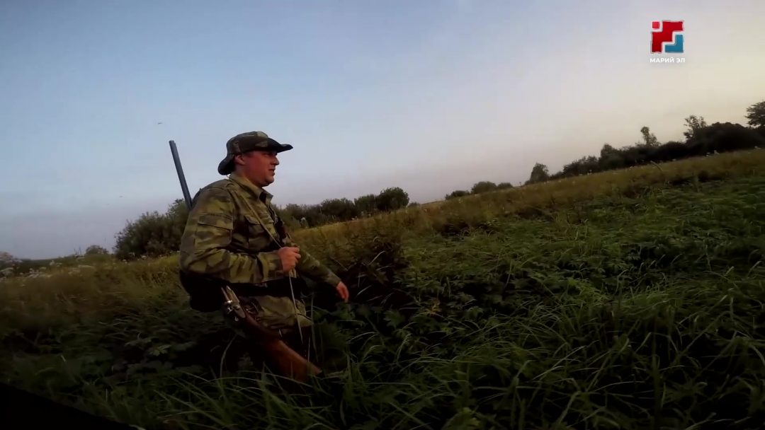 В Департаменте животного мира Марий Эл  подвели итоги работы за прошлый год