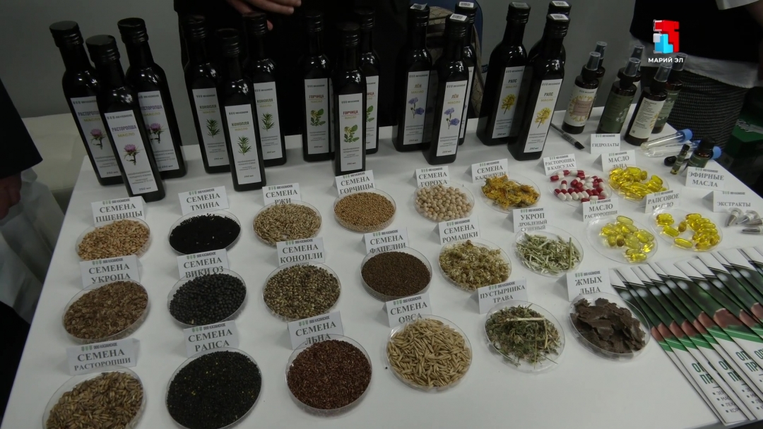 Будущее сельскохозяйственной отрасли Марий Эл обсудили на первом республиканском агрофоруме