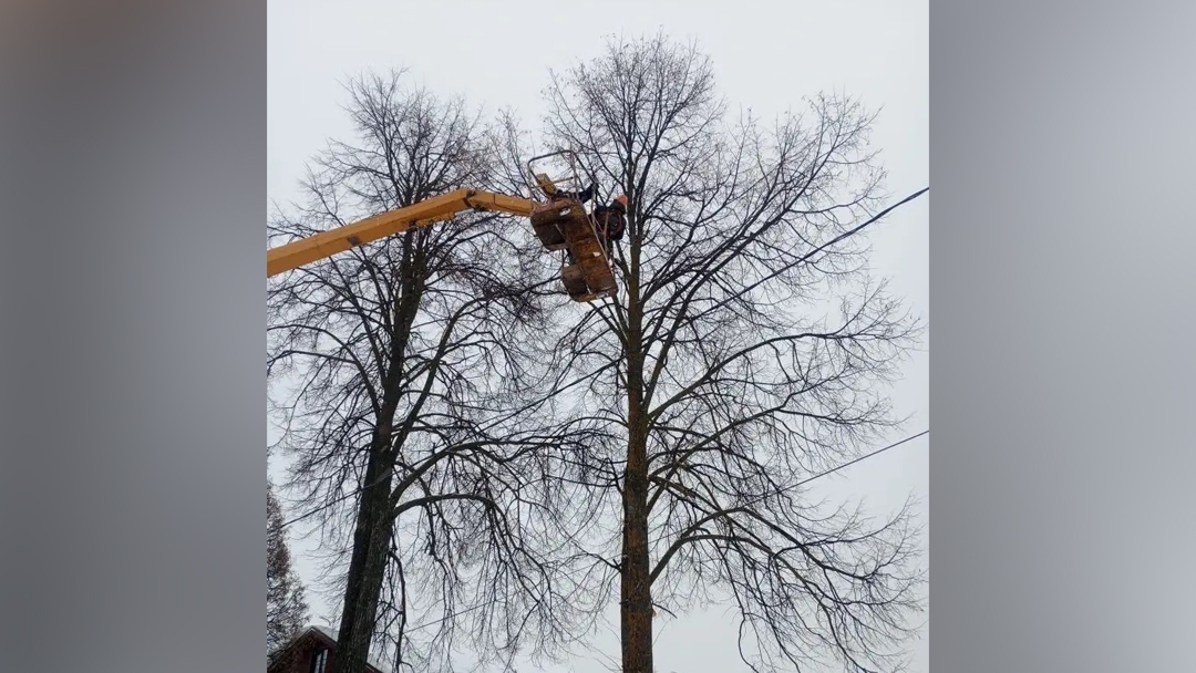 В Йошкар-Оле стартовала подготовка к весеннему озеленению