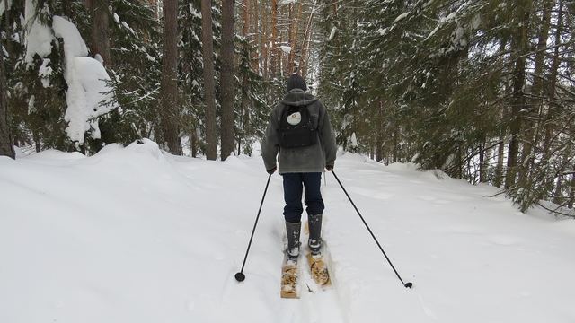 В лесах Марий Эл отмечена стабильная популяция зайцев