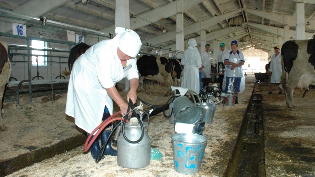 В Марий Эл пройдет республиканский слет лучших операторов машинного доения