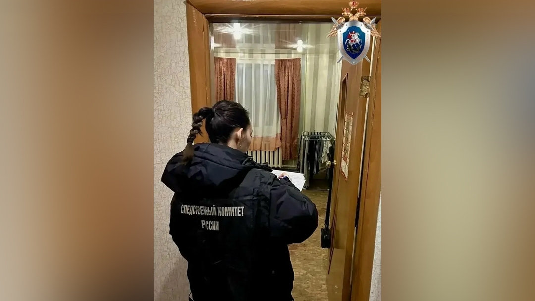 В Марий Эл перед судом предстанет женщина, обвиняемая в жестоком убийстве сожителя