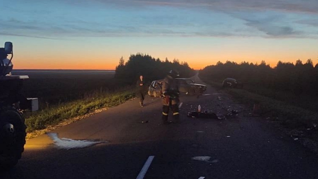 В Марий Эл вынесен приговор водителю, по вине которого в ДТП погибла несовершеннолетняя