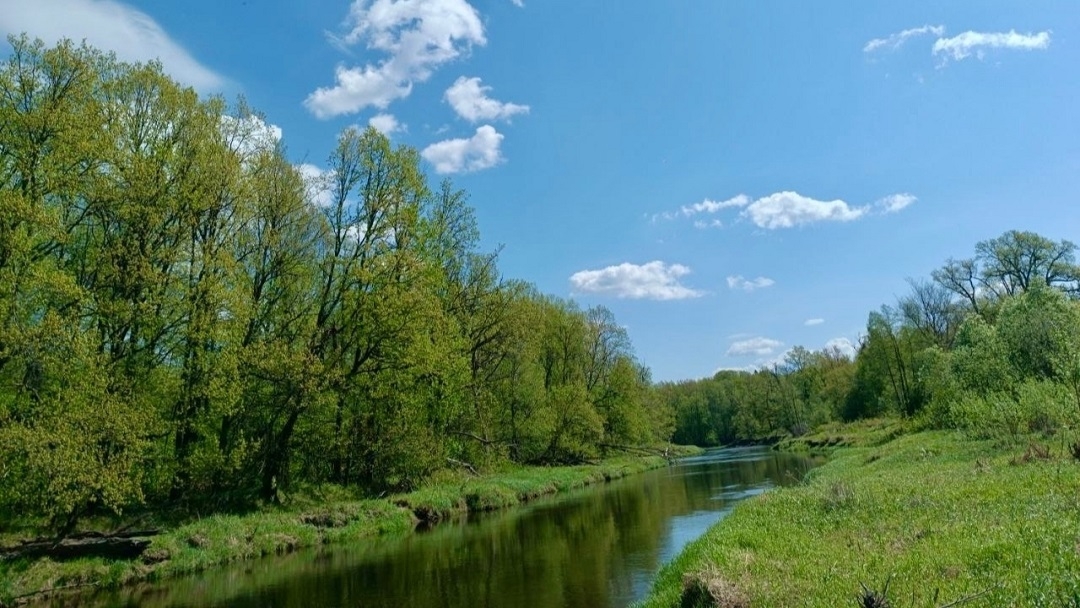 Сервис «Земля для туризма» помогает инвесторам выбрать в Марий Эл привлекательные территории