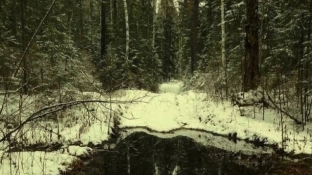 В Марий Эл раскрыли местонахождение аномальной зоны