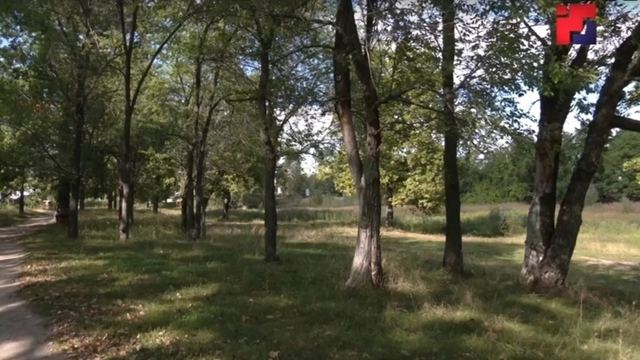 В Марий Эл земельные участки на ООПТ «Сосновая роща» больше не в частных руках
