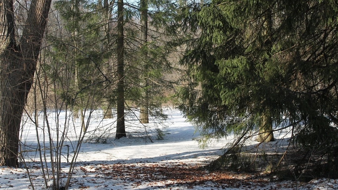 В Марий Эл установилось рекордное тепло
