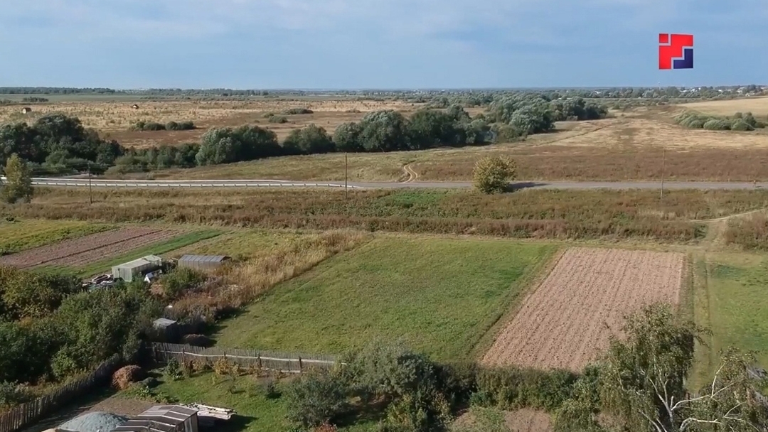 Лесные потери в Марий Эл снизились более чем на треть