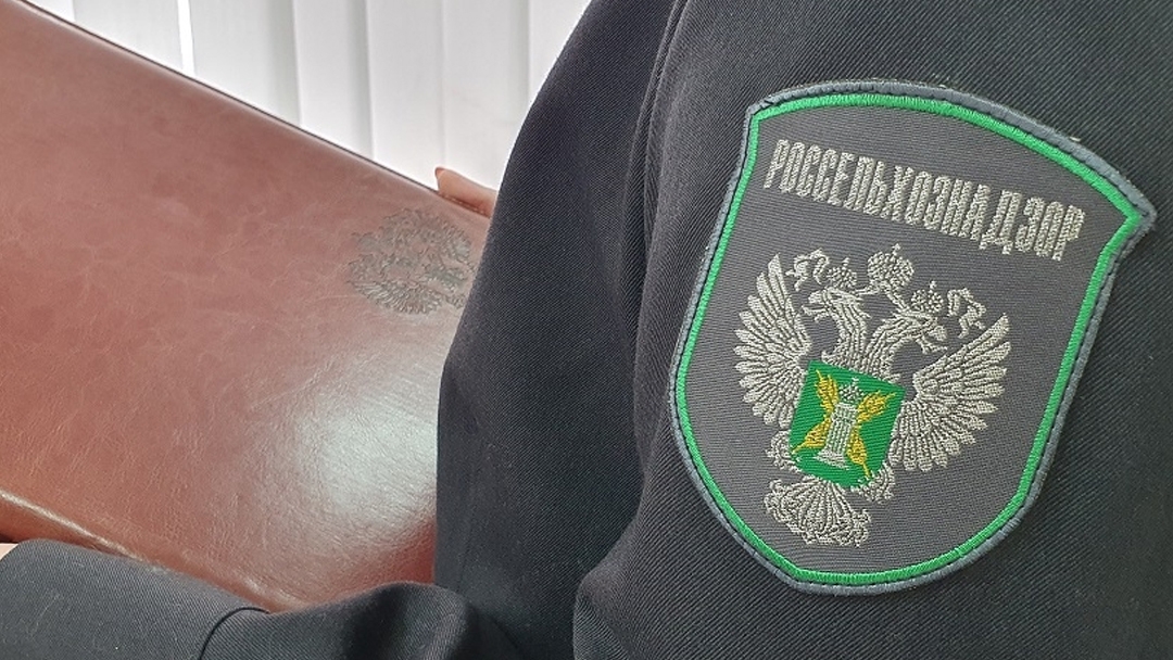 В Марий Эл выявили нарушения при обороте ветеринарных лекарственных средств