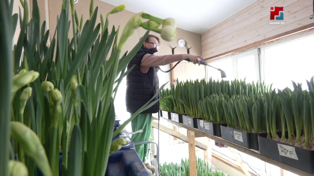 Садоводы Марий Эл готовятся к новому сезону