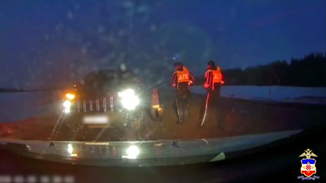 В Марий Эл сотрудники ДПС спасли автоледи, которой стало плохо за рулем на трассе