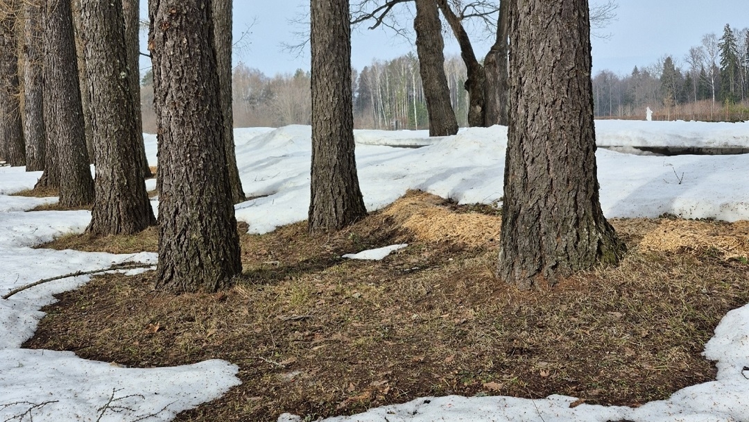 В Марий Эл «включился» биологический компас