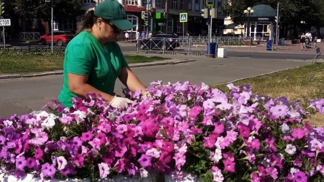 Цветочный сезон-2026 в Йошкар-Оле: врио мэра Антон Трудинов поделился планами по озеленению города