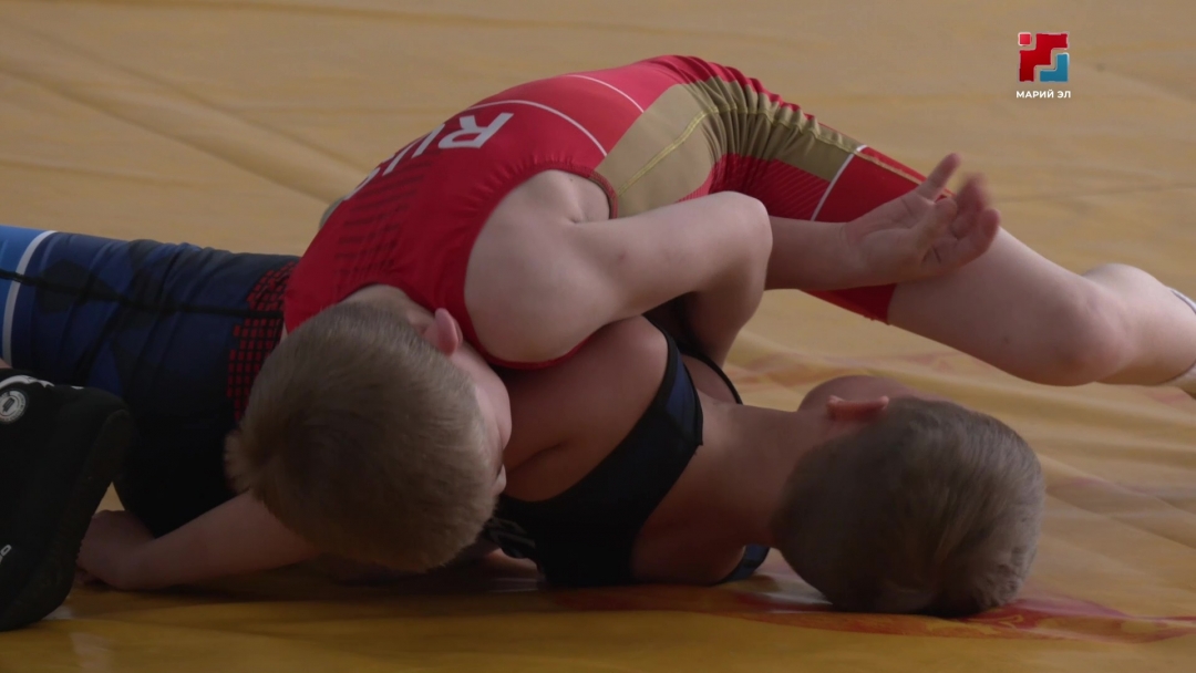 В Новом Торъяле прошёл межрегиональный турнир по греко-римской борьбе