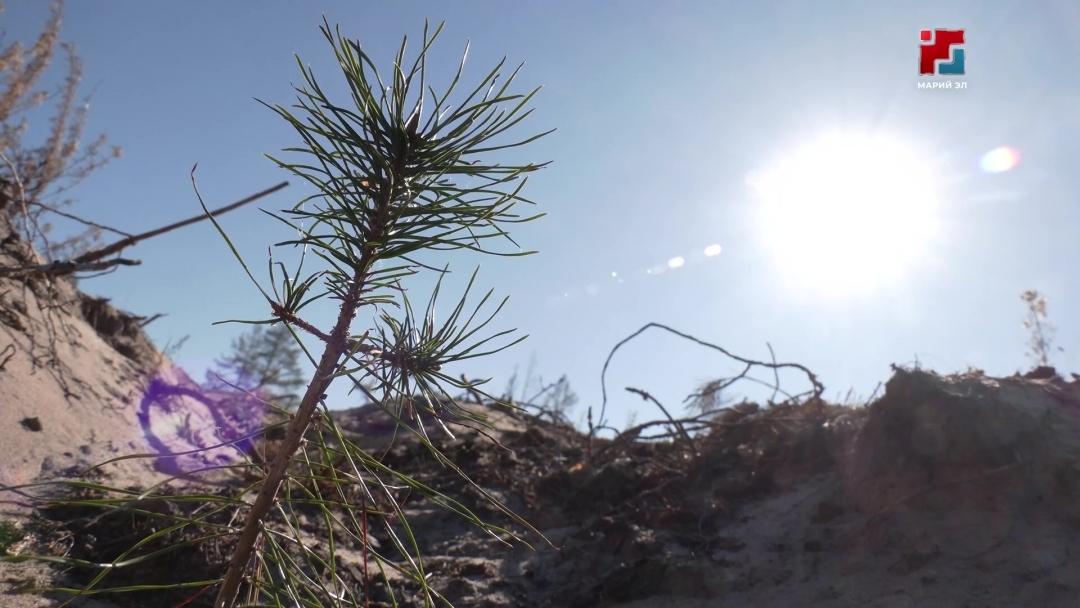 В Минприроды озвучили основные планы на 2026 год