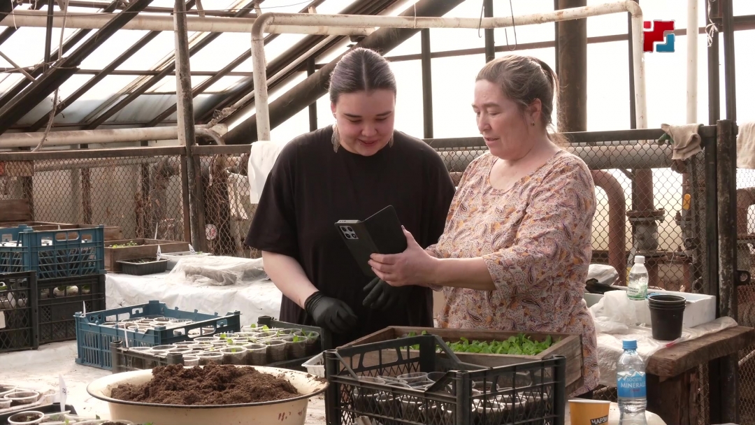 Сад-пакчазе-влаклан кызыт росотам кусарен шындаш жап шуын